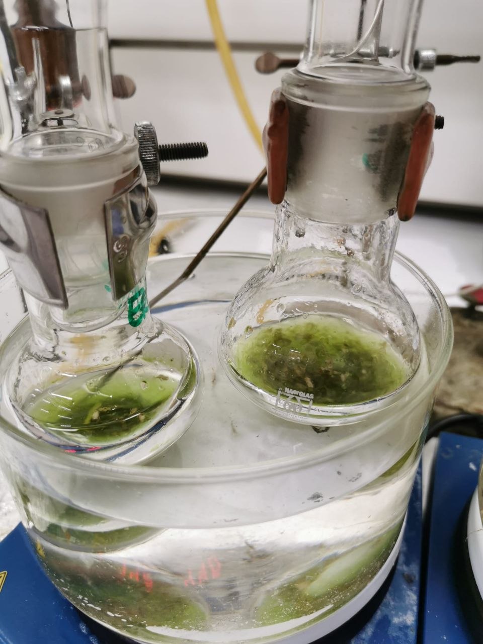 Apparato sperimentale con materiale vegetale durante un'attività di processo, nell'ambito di collaborazioni scientifiche