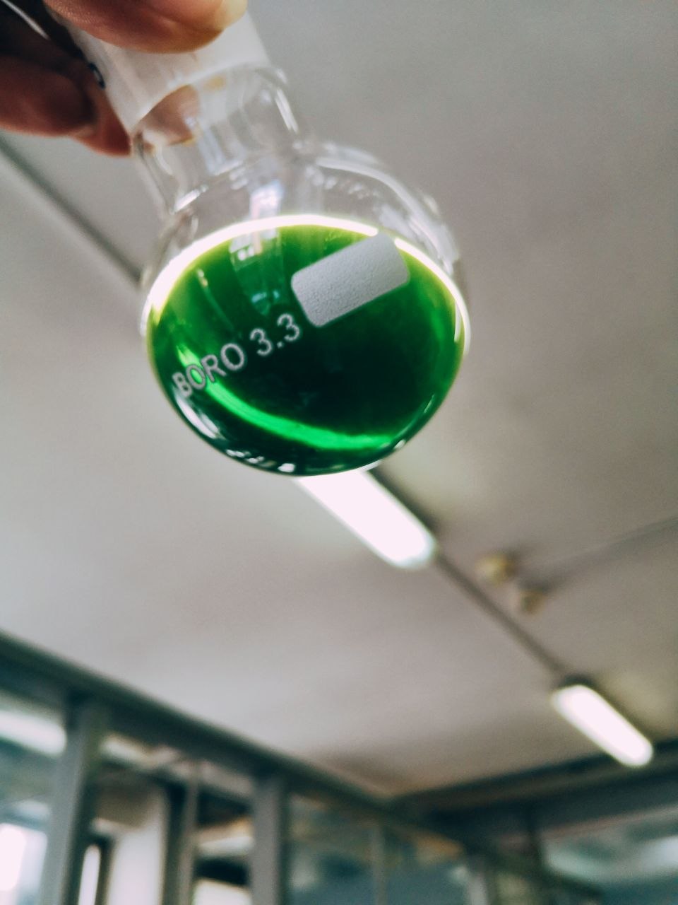 Attività di estrazione e sviluppo di processo su matrice vegetale, nell'ambito di collaborazioni scientifiche